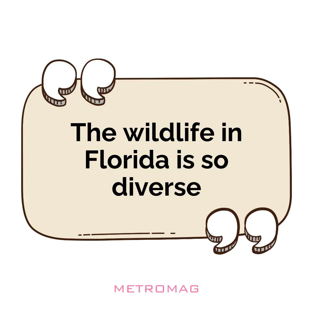 The wildlife in Florida is so diverse
