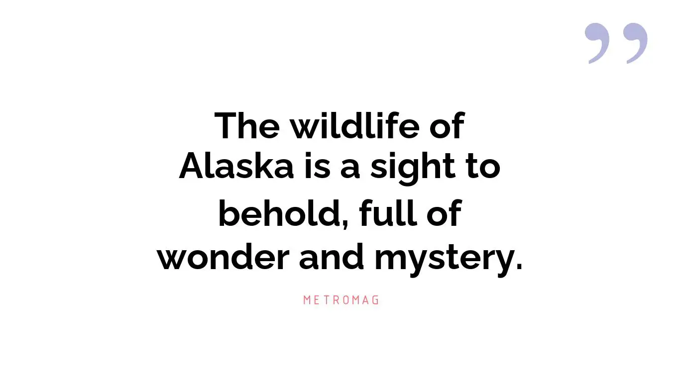 The wildlife of Alaska is a sight to behold, full of wonder and mystery.