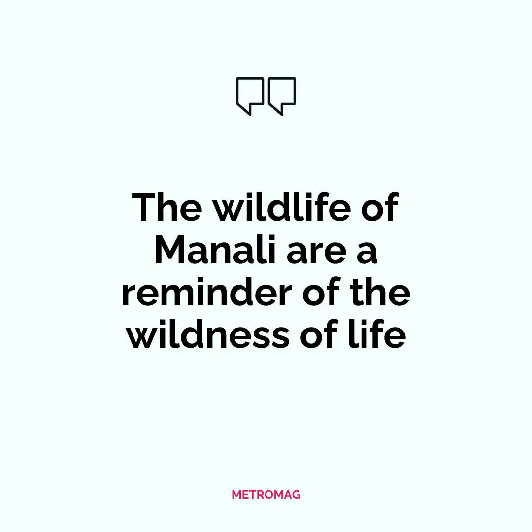 The wildlife of Manali are a reminder of the wildness of life
