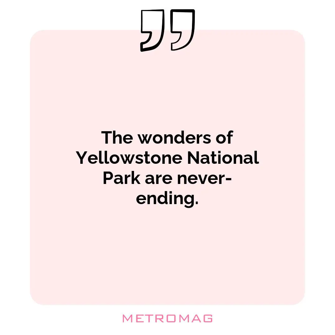 The wonders of Yellowstone National Park are never-ending.