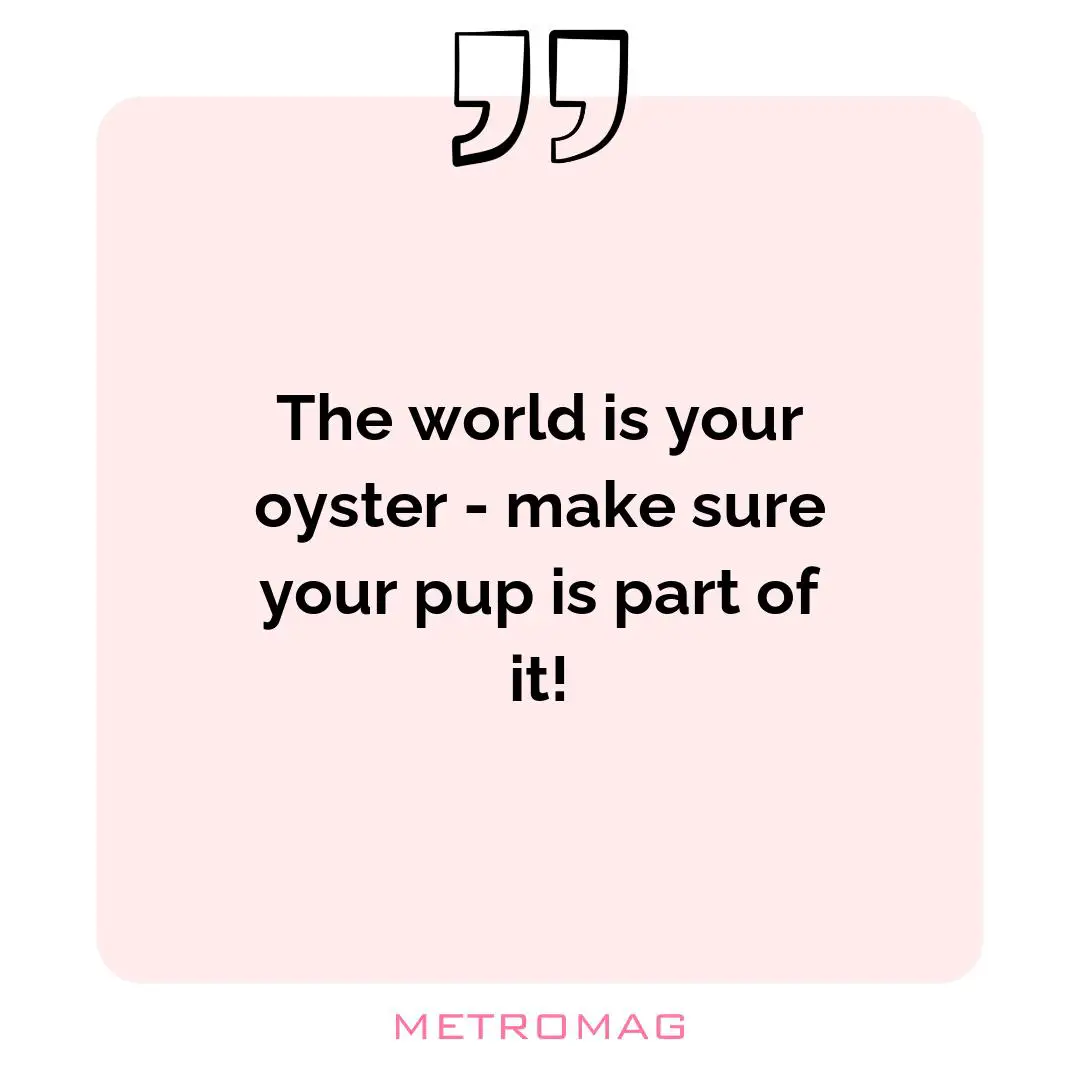 The world is your oyster - make sure your pup is part of it!