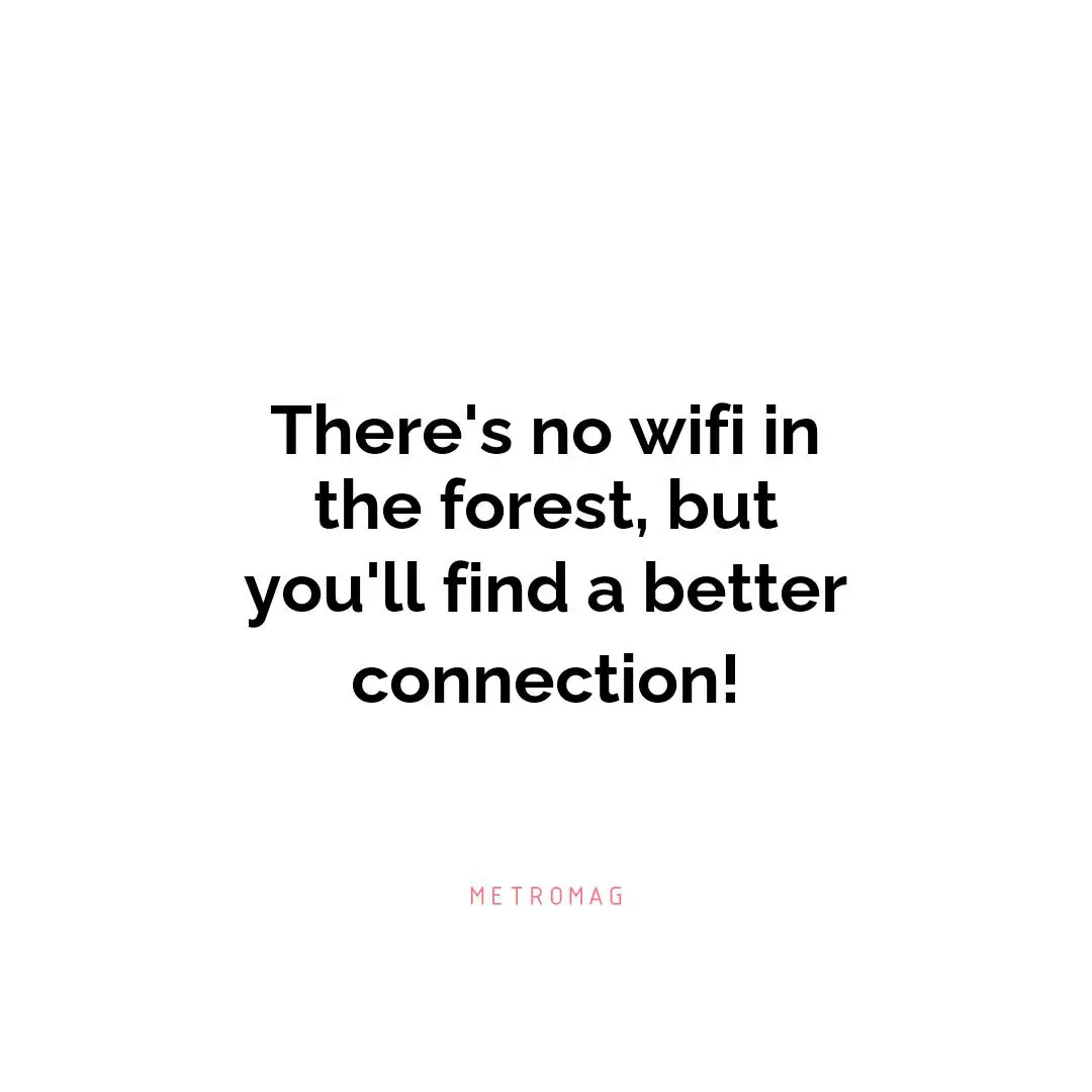 There's no wifi in the forest, but you'll find a better connection!