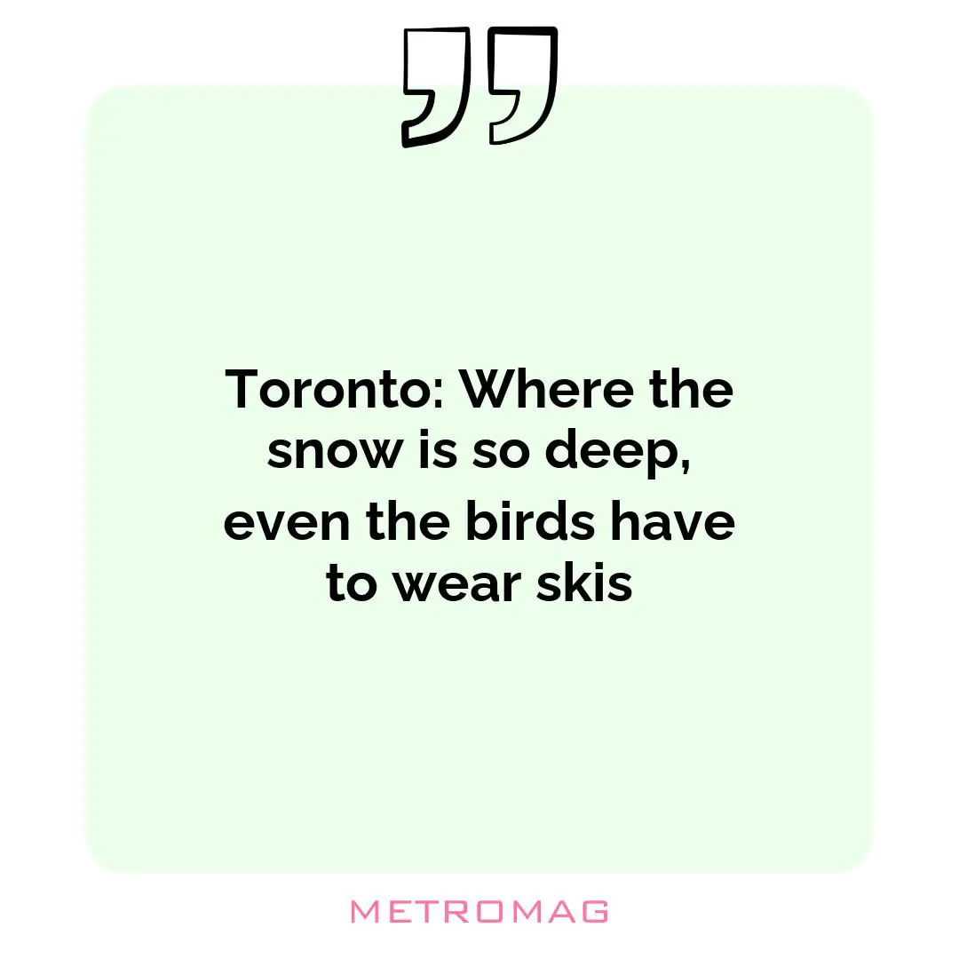 Toronto: Where the snow is so deep, even the birds have to wear skis