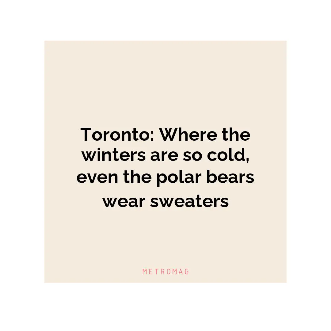 Toronto: Where the winters are so cold, even the polar bears wear sweaters