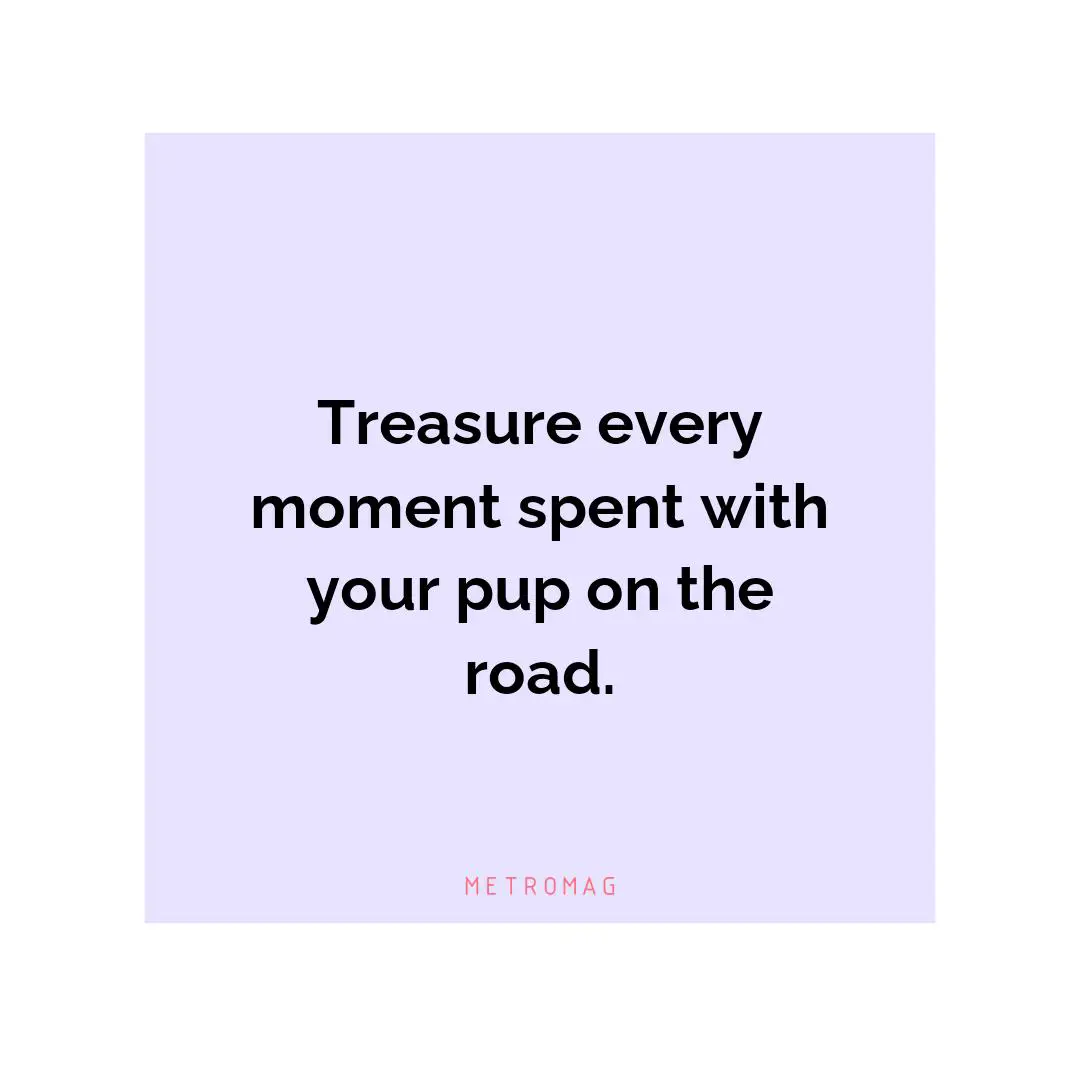 Treasure every moment spent with your pup on the road.