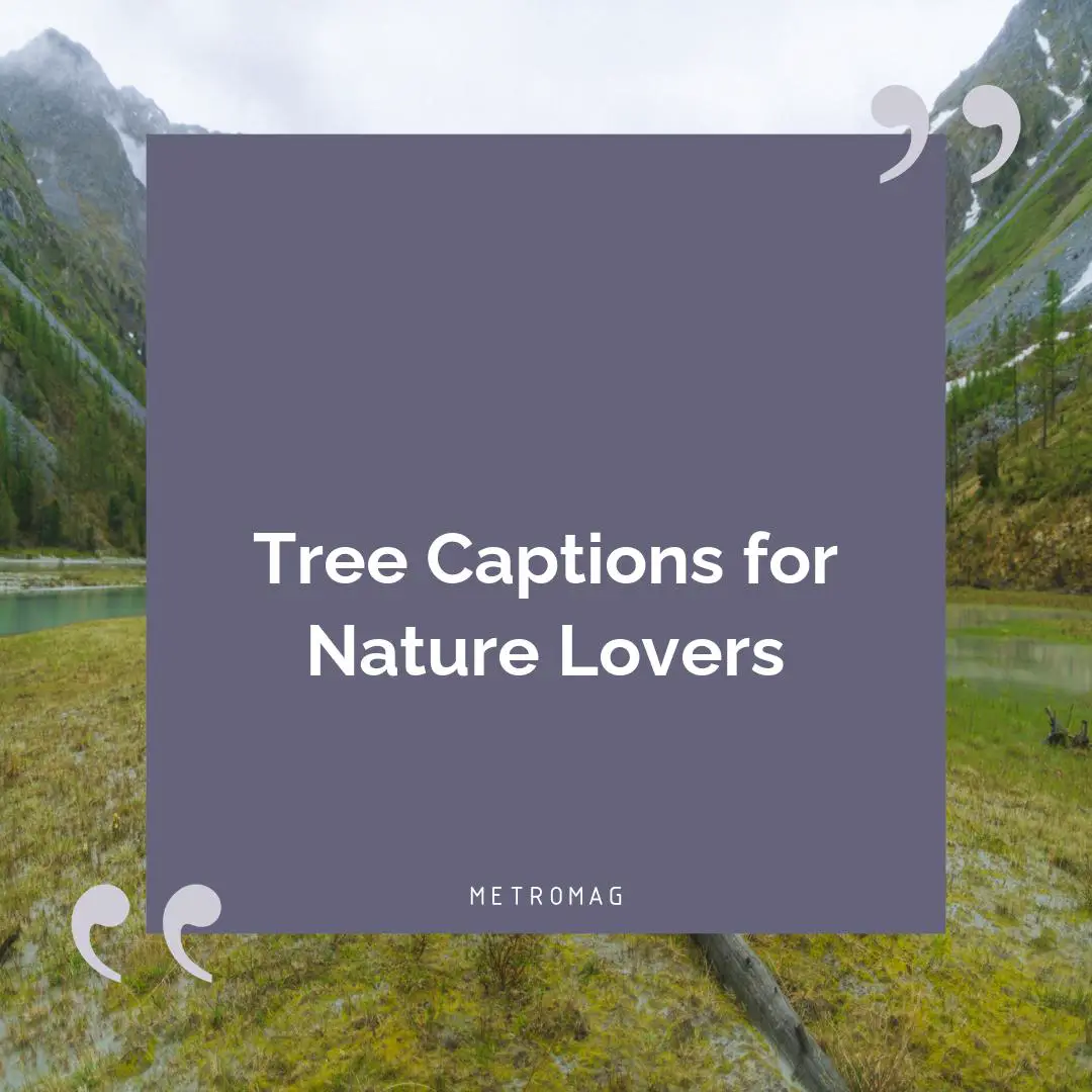 Tree Captions for Nature Lovers
