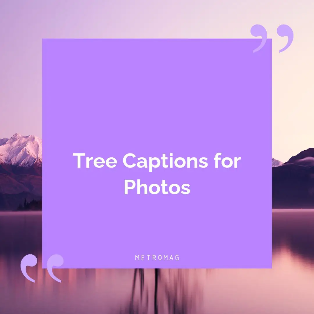 Tree Captions for Photos