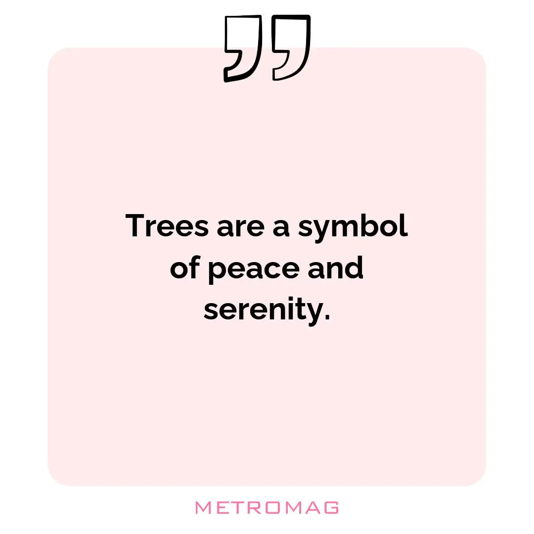 Trees are a symbol of peace and serenity.