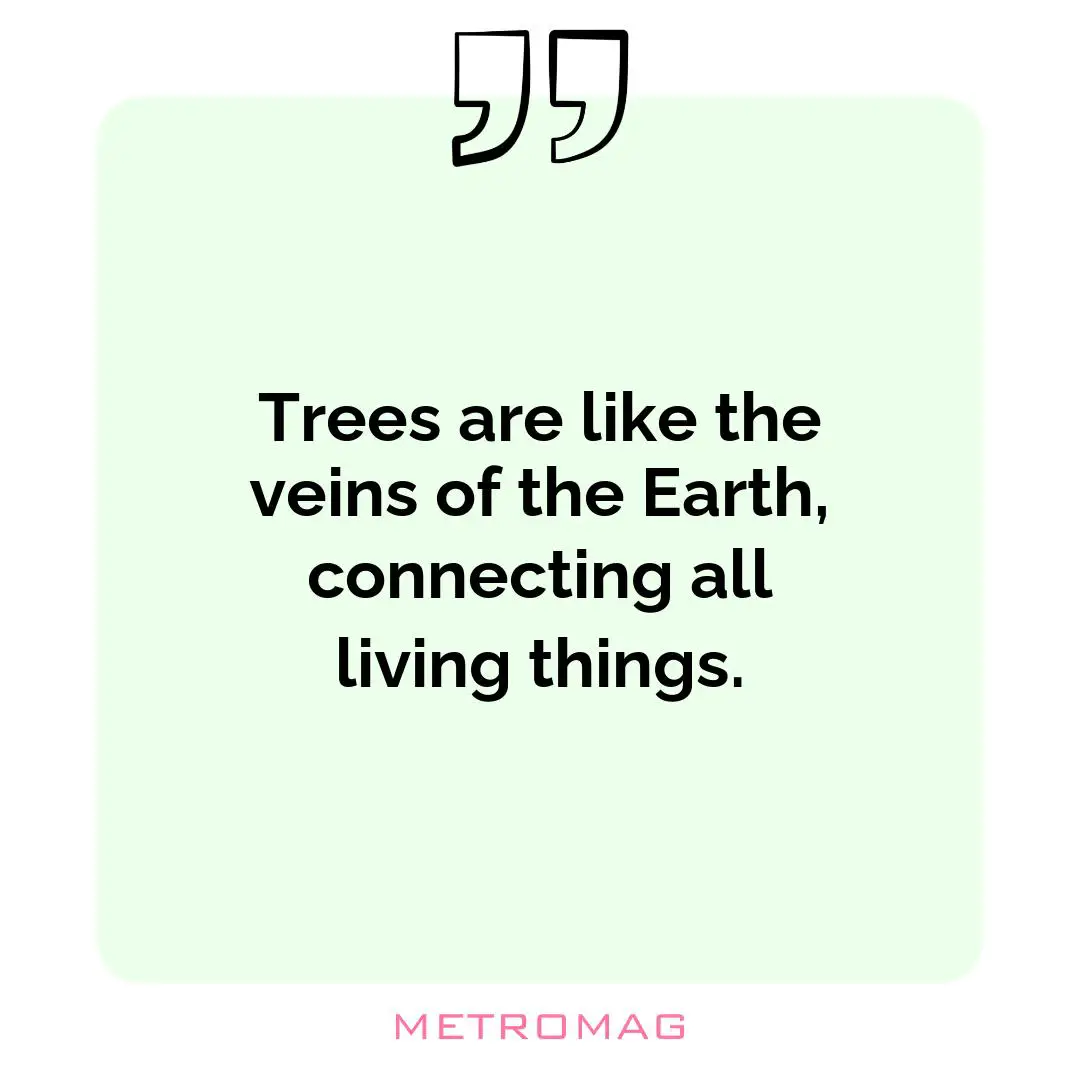 Trees are like the veins of the Earth, connecting all living things.