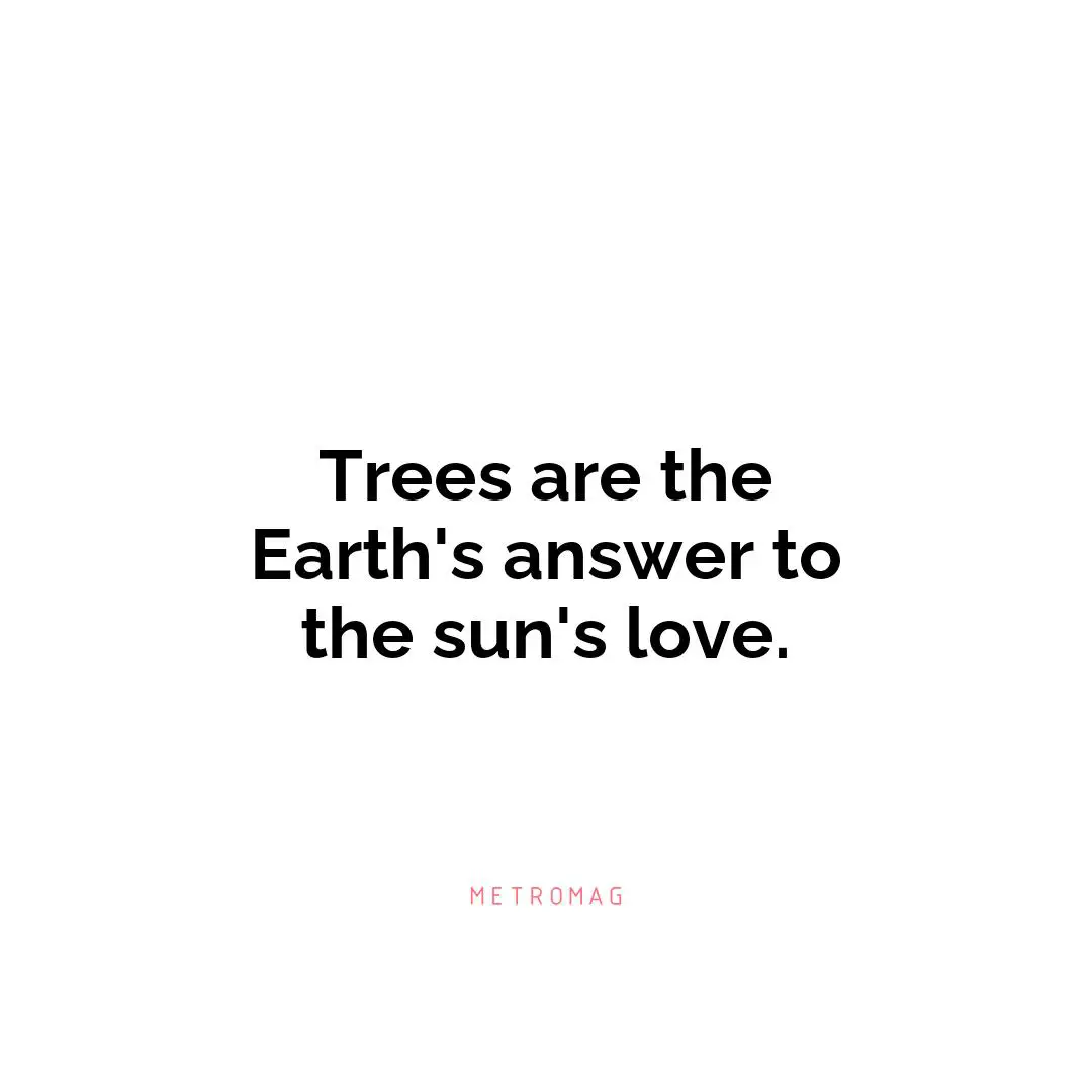 Trees are the Earth's answer to the sun's love.
