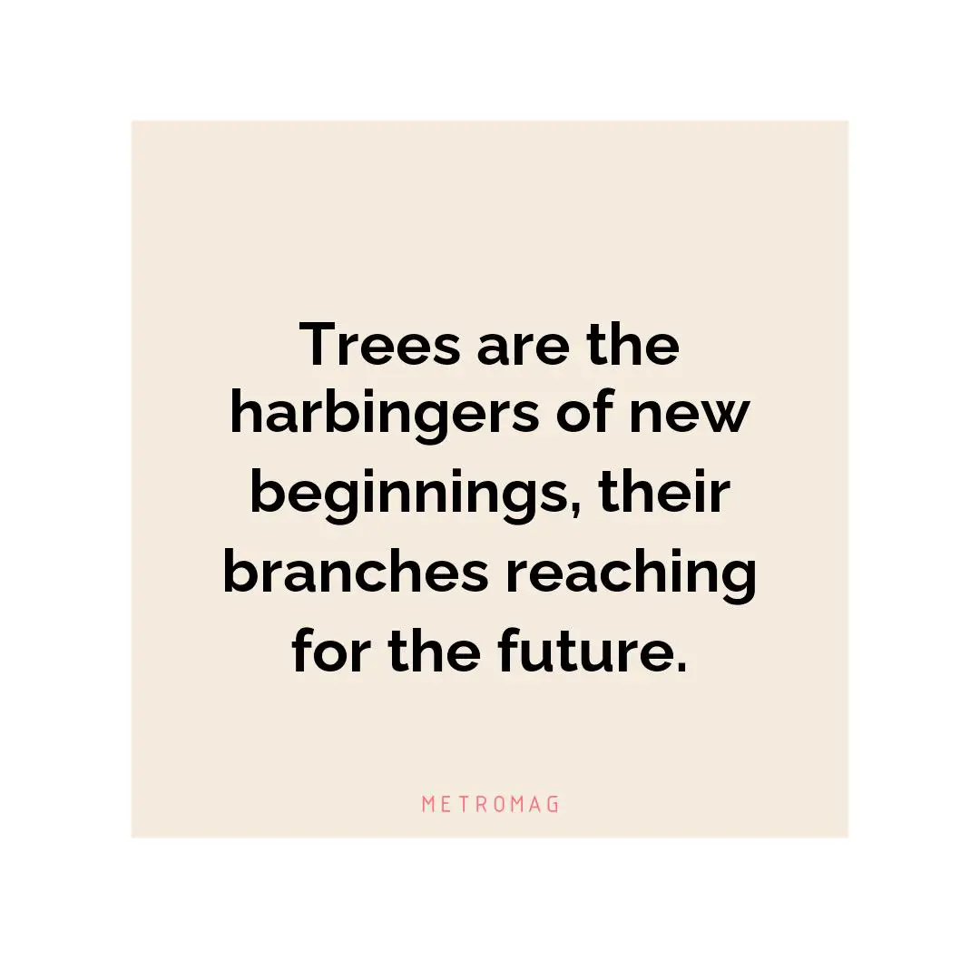 Trees are the harbingers of new beginnings, their branches reaching for the future.