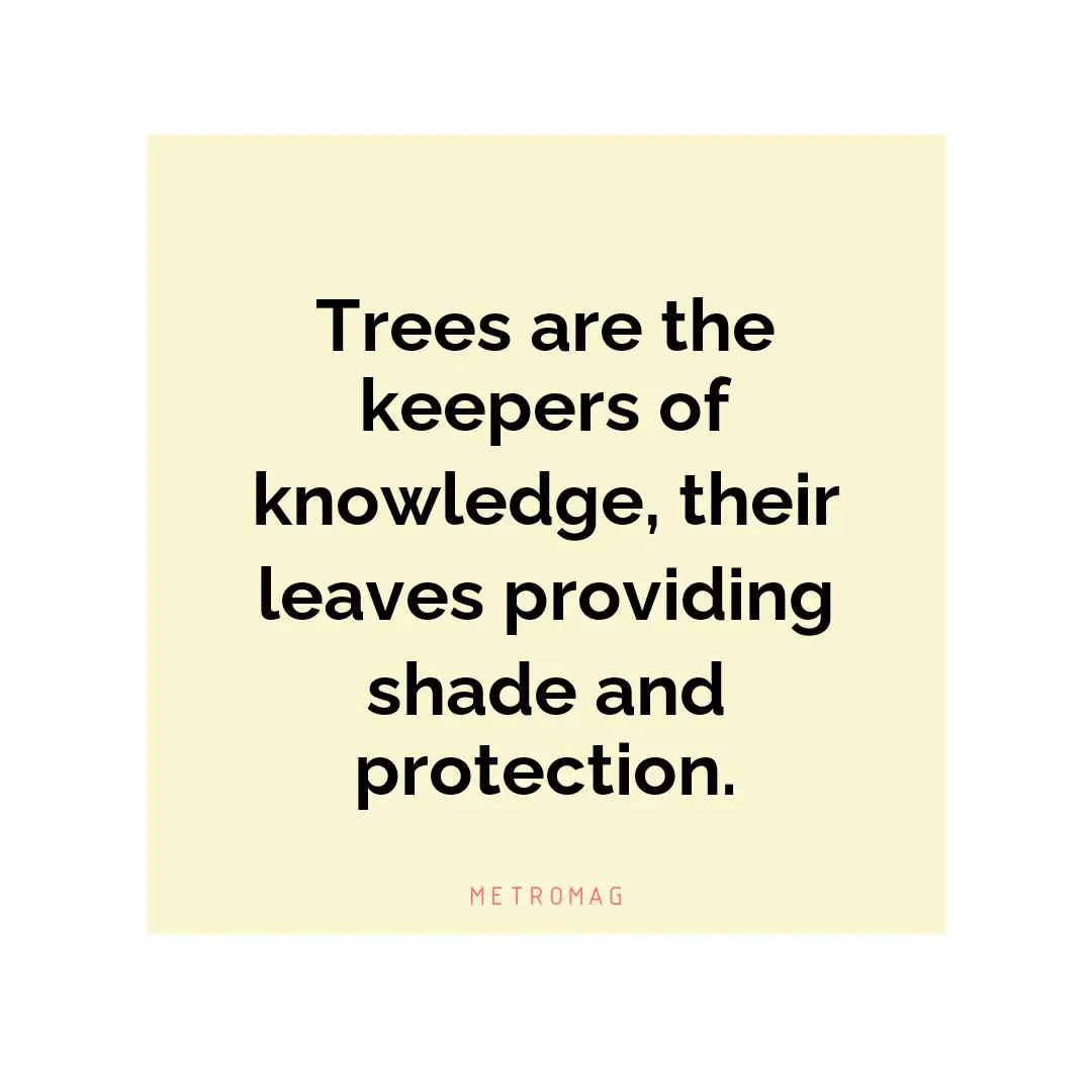 Trees are the keepers of knowledge, their leaves providing shade and protection.