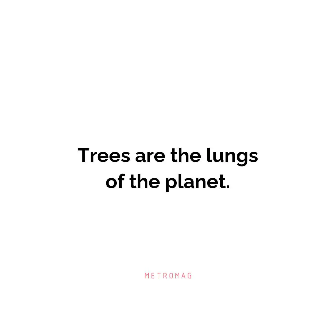 Trees are the lungs of the planet.