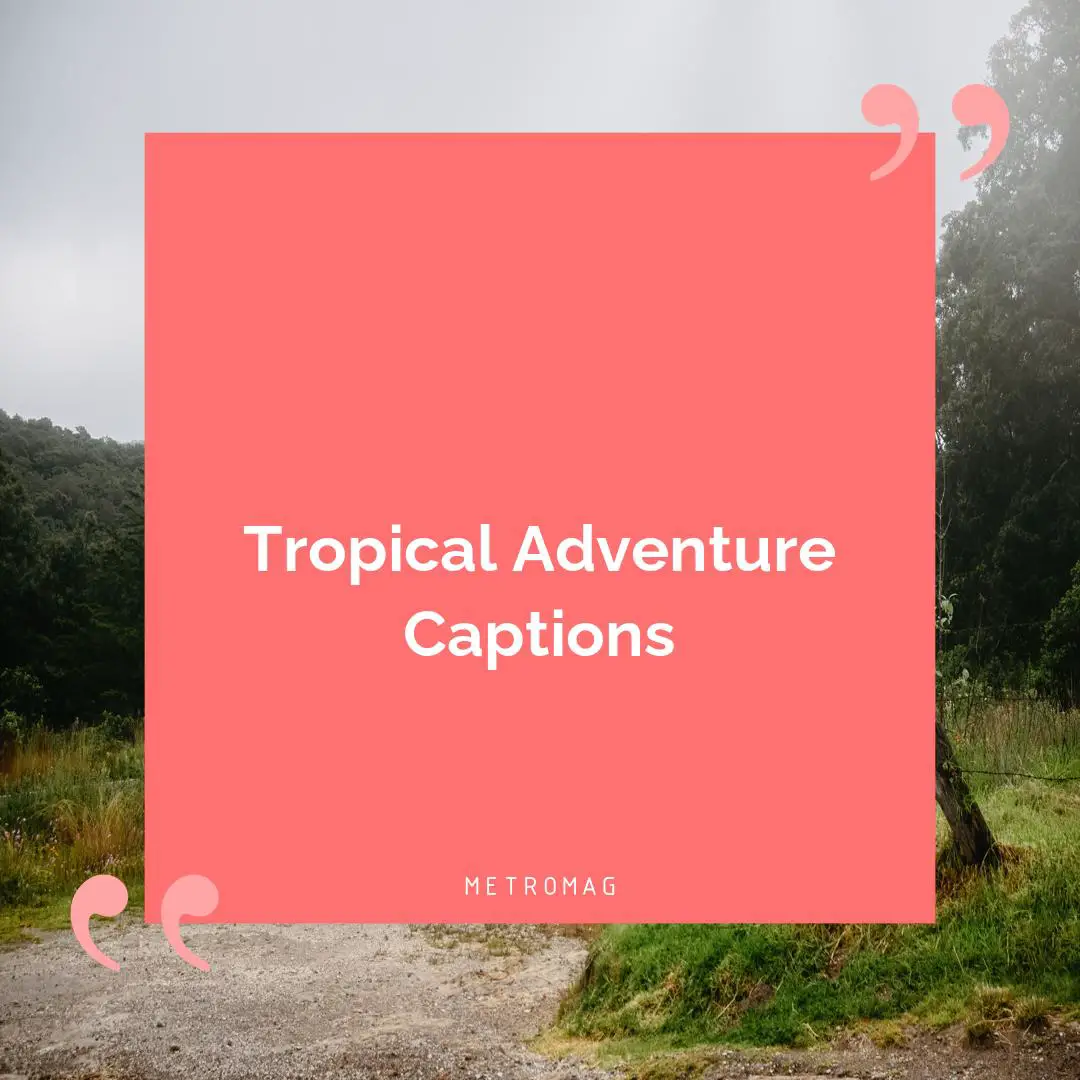 Tropical Adventure Captions
