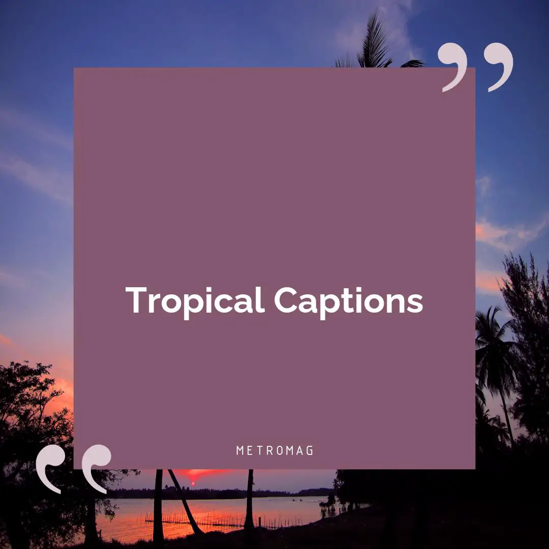 Tropical Captions