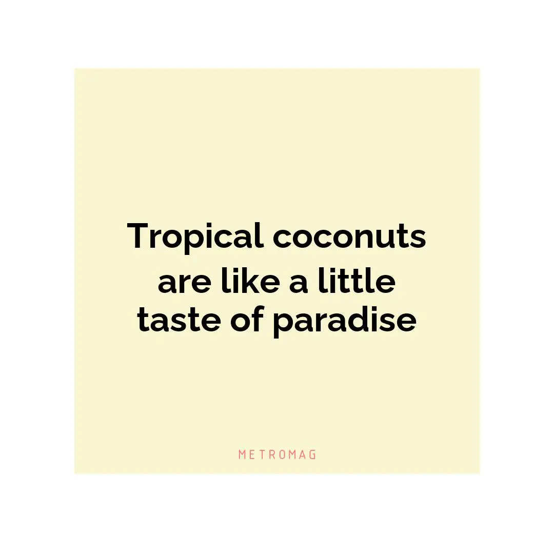 Tropical coconuts are like a little taste of paradise