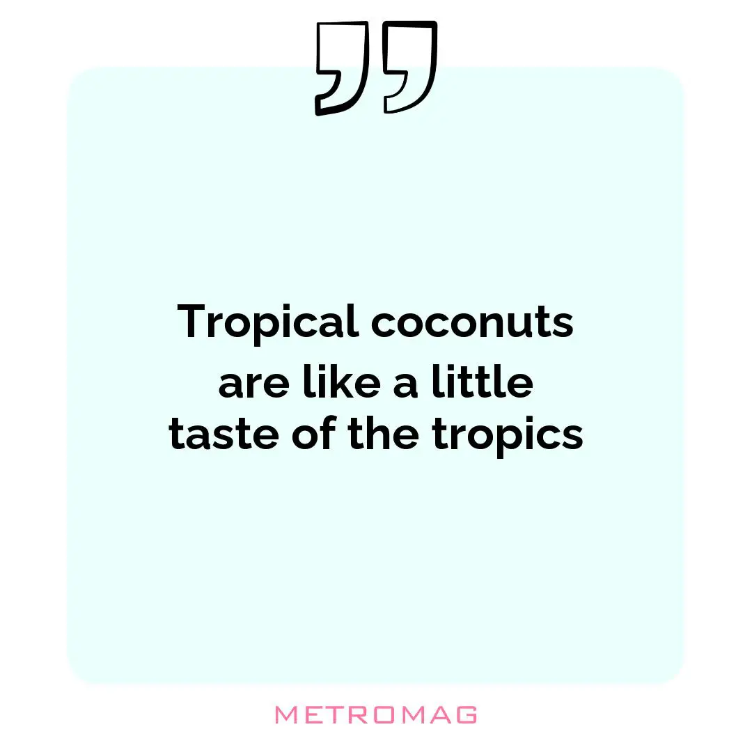 Tropical coconuts are like a little taste of the tropics