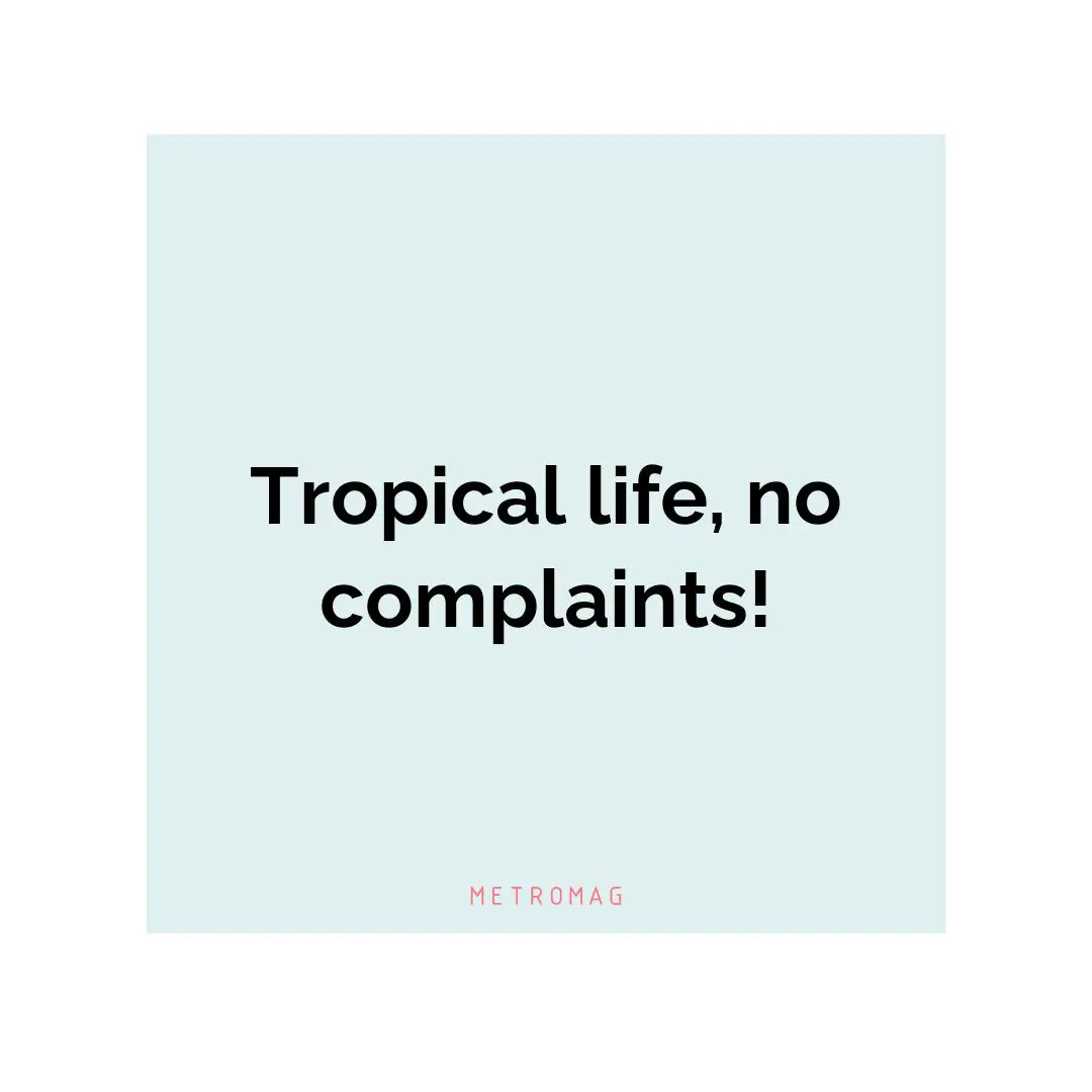 Tropical life, no complaints!