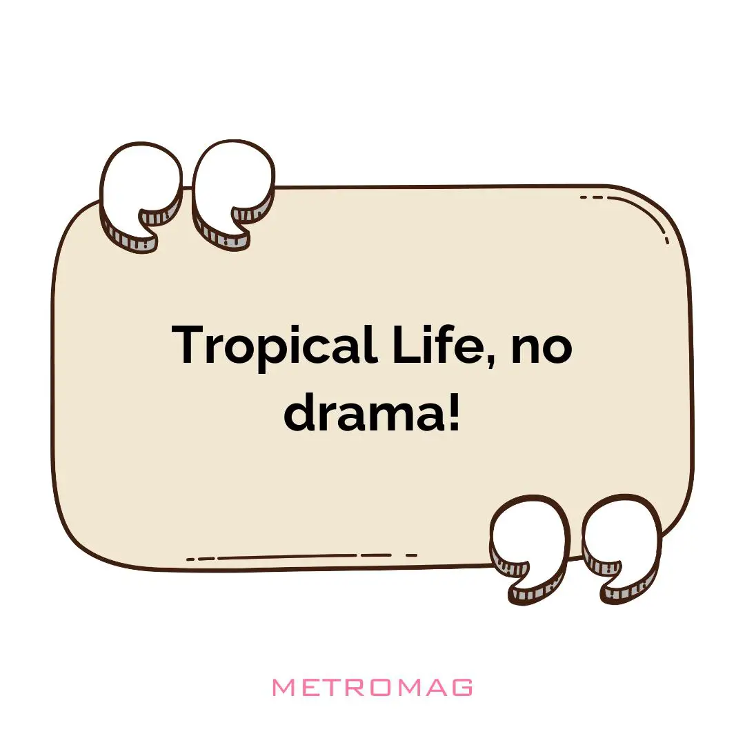 Tropical Life, no drama!