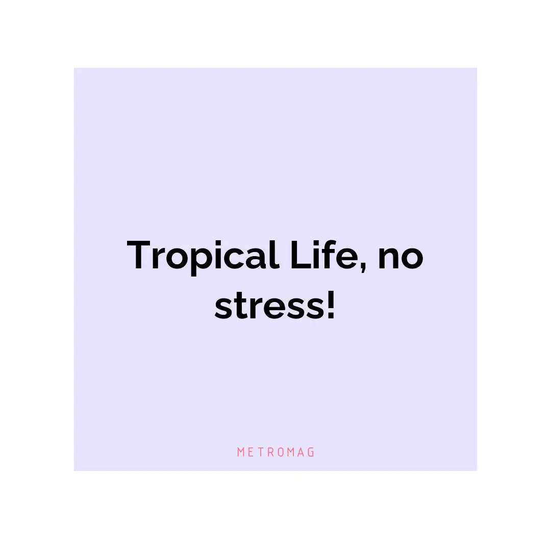 Tropical Life, no stress!