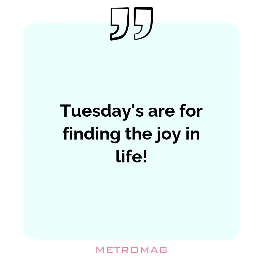 Tuesday's are for finding the joy in life!