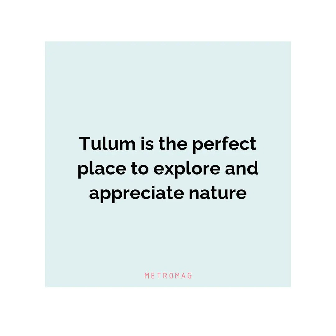 Tulum is the perfect place to explore and appreciate nature