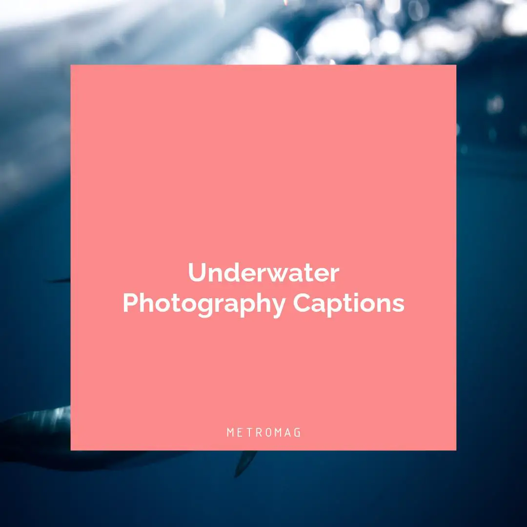 Underwater Photography Captions