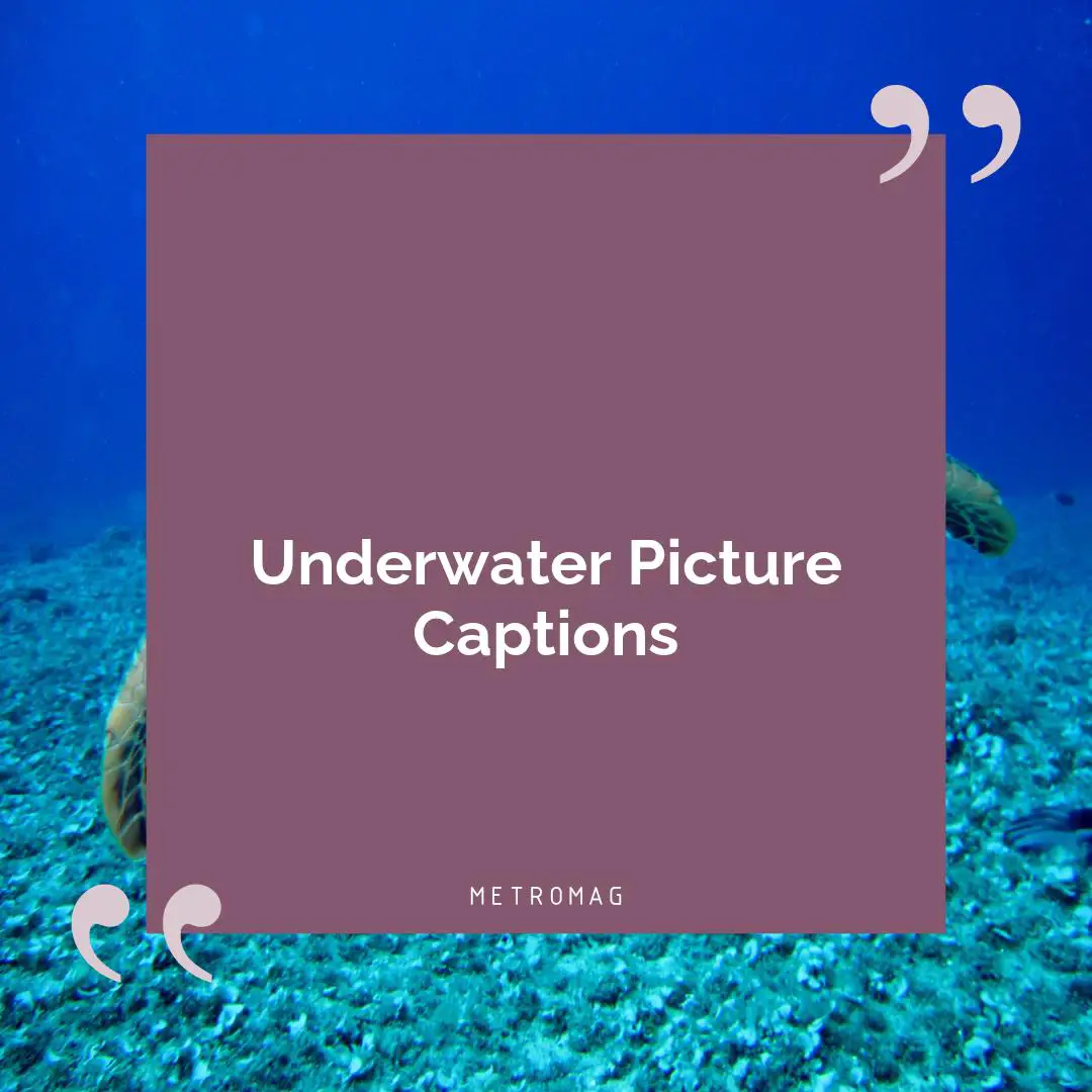 Underwater Picture Captions