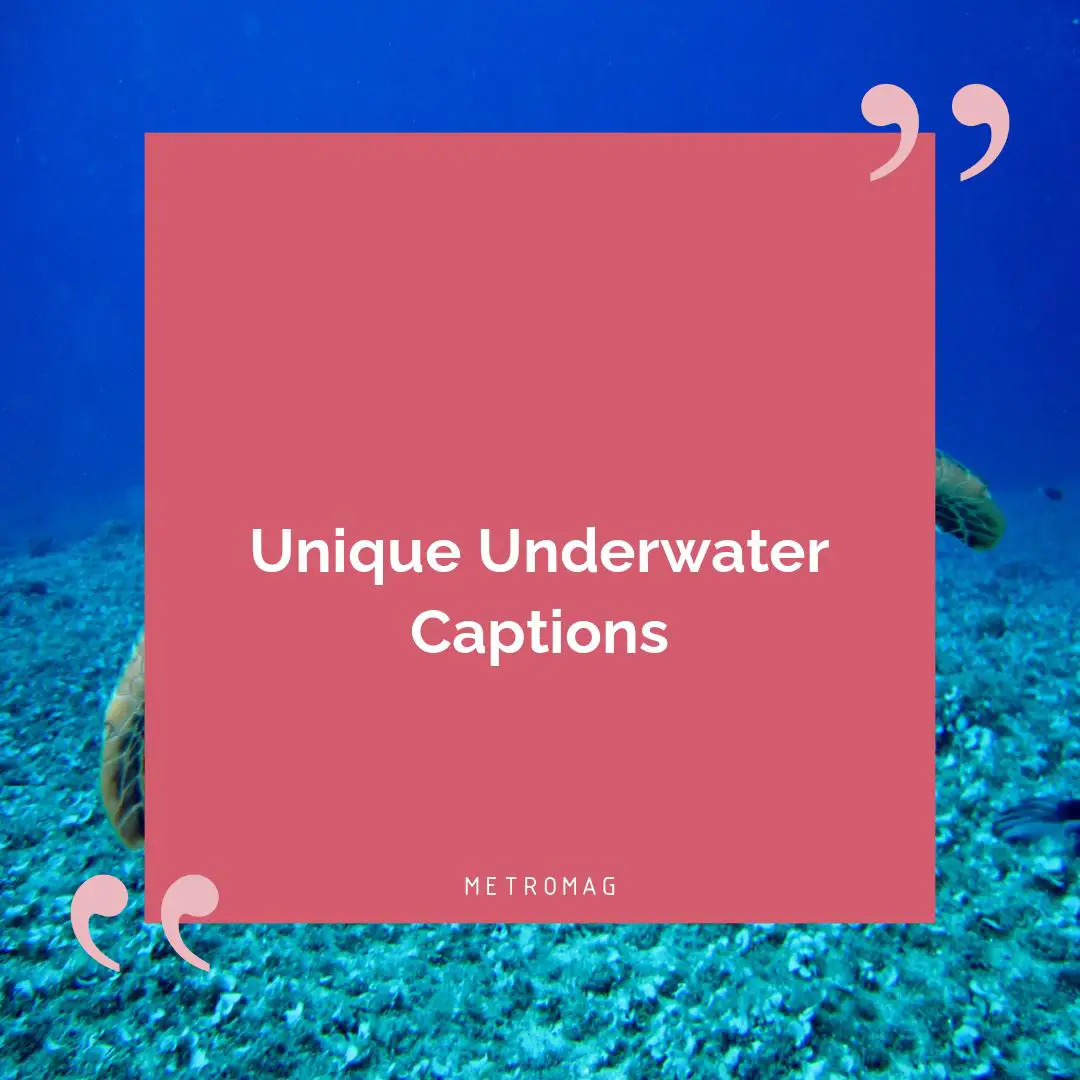 Unique Underwater Captions