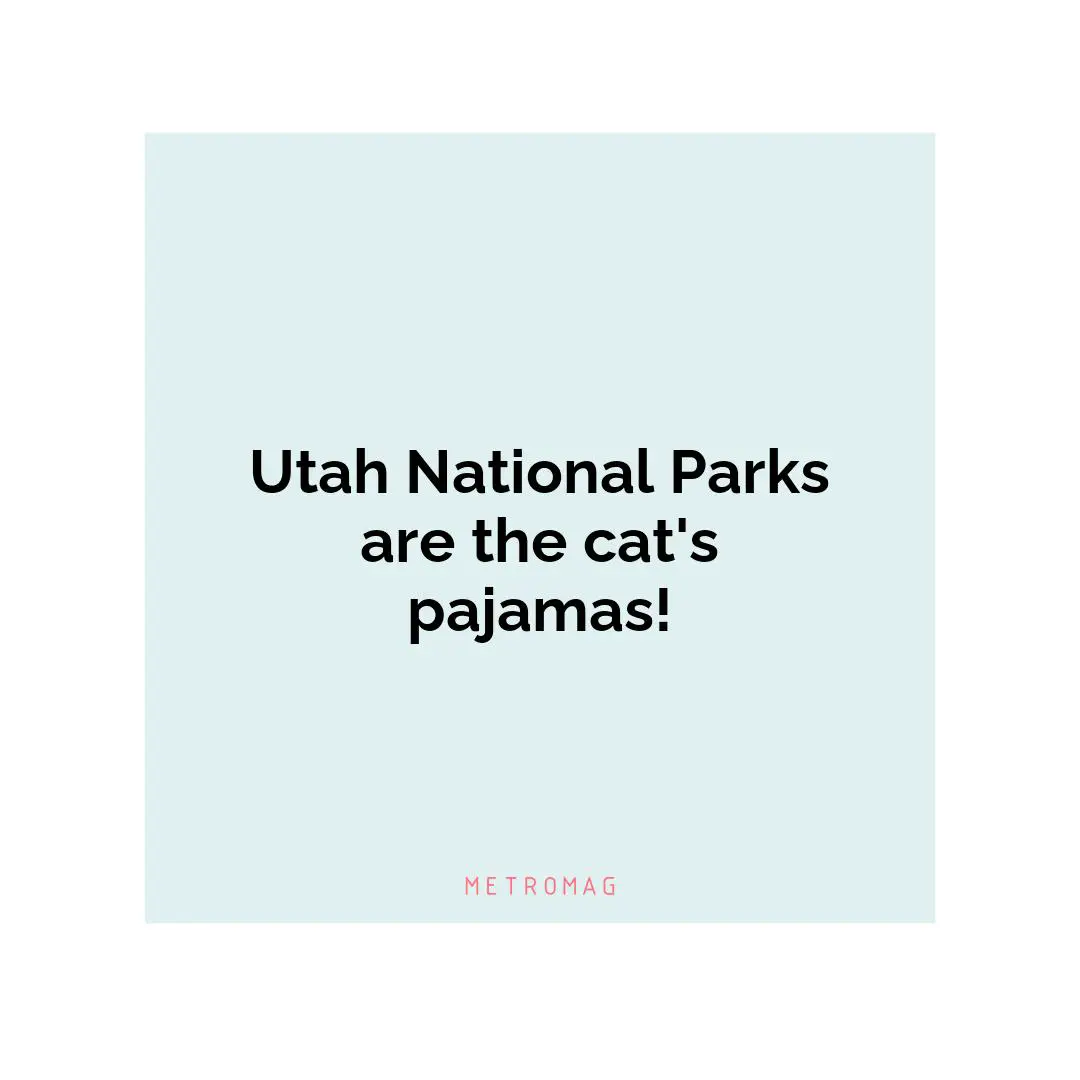 Utah National Parks are the cat's pajamas!