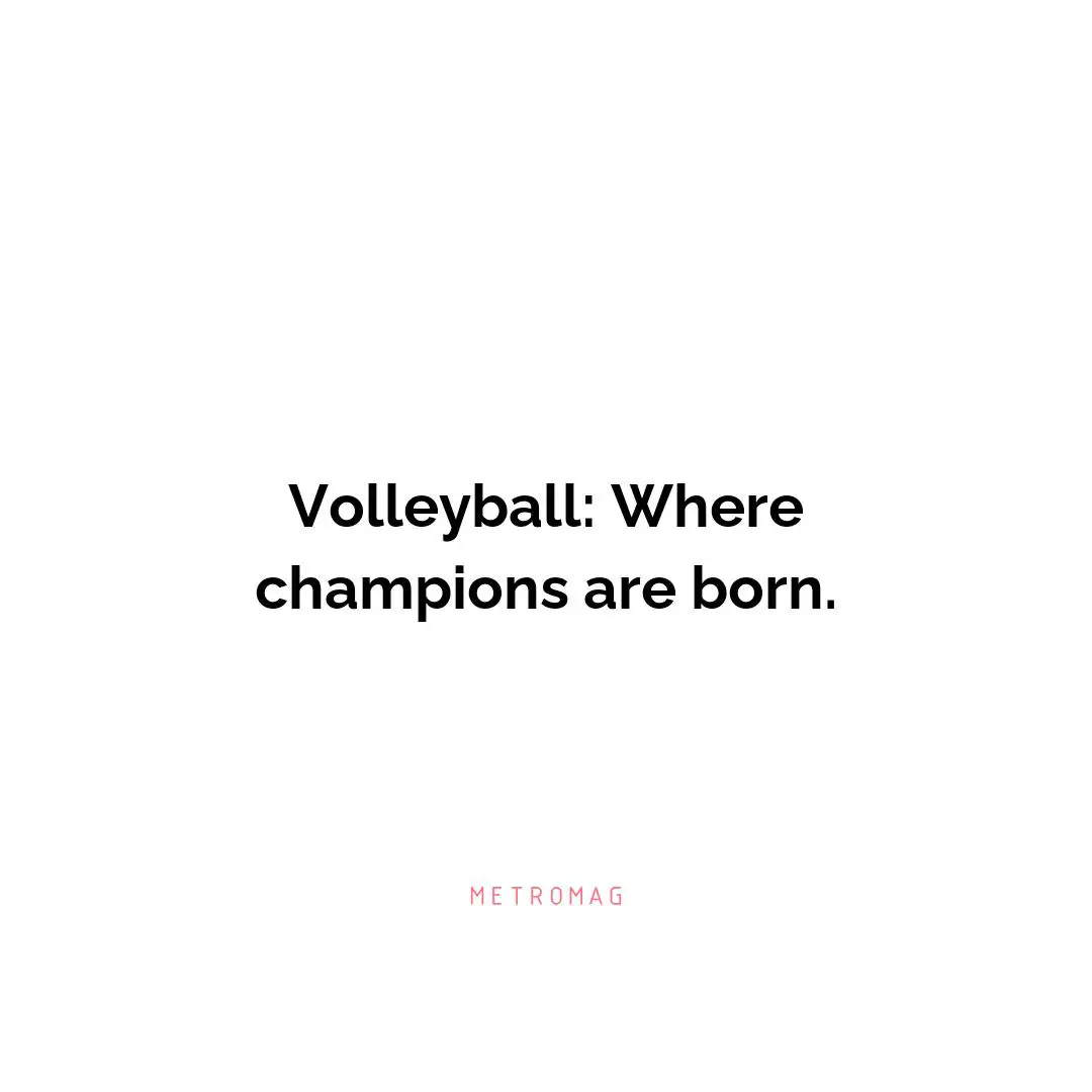 Volleyball: Where champions are born.