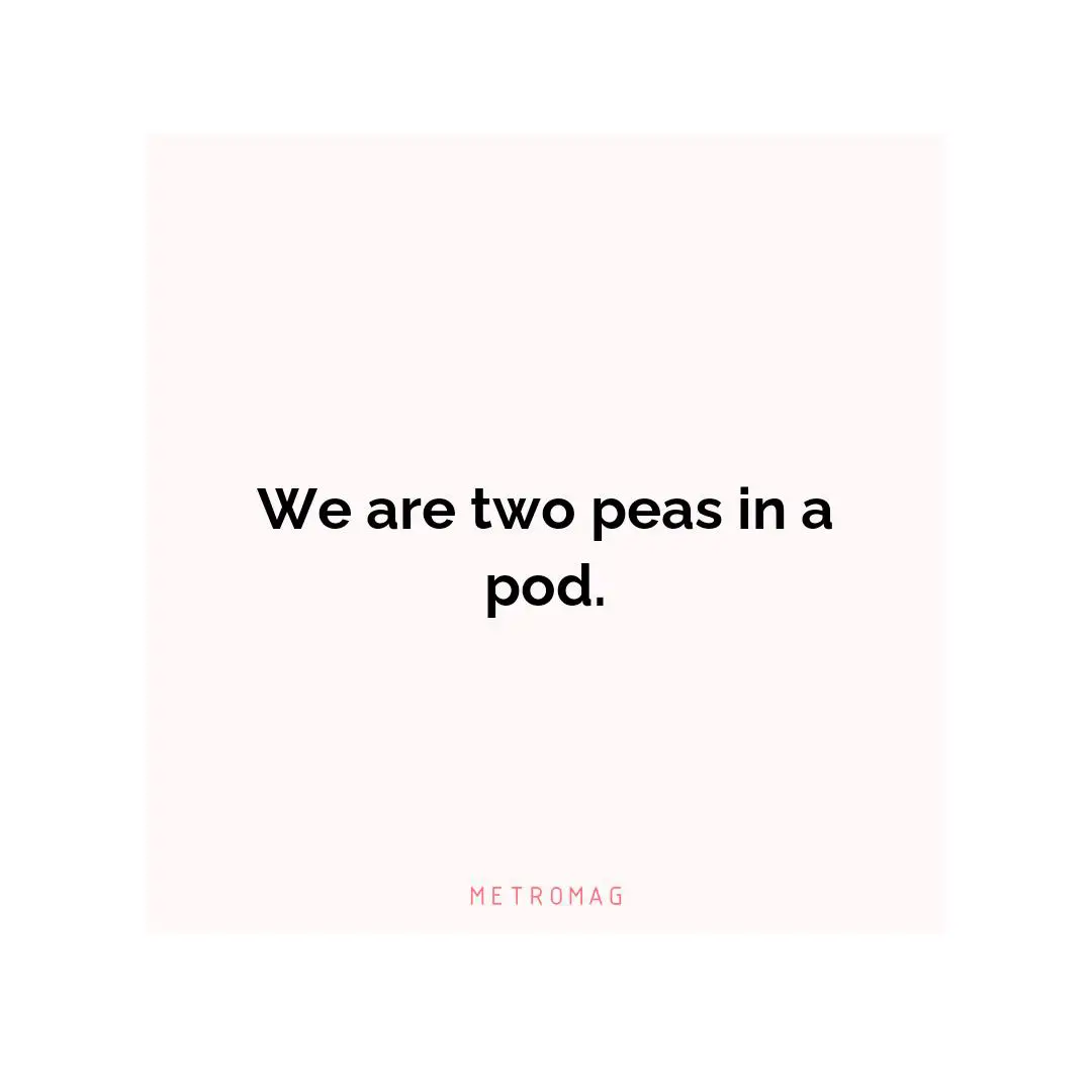 We are two peas in a pod.