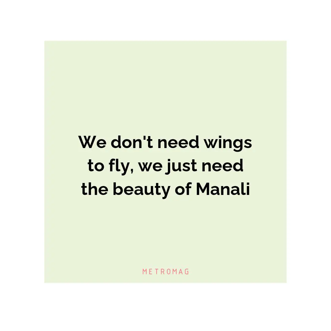 We don't need wings to fly, we just need the beauty of Manali