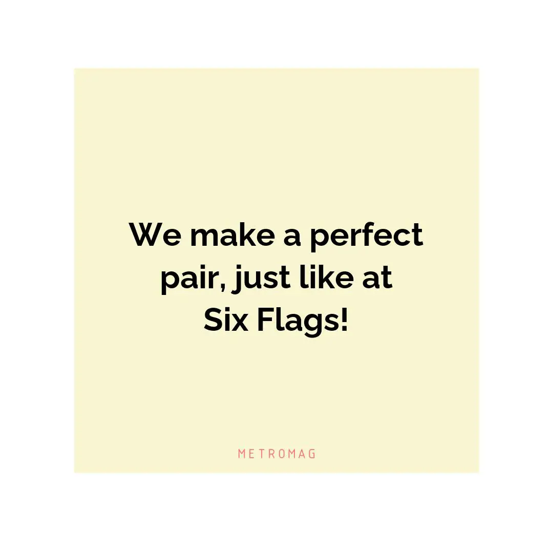 We make a perfect pair, just like at Six Flags!