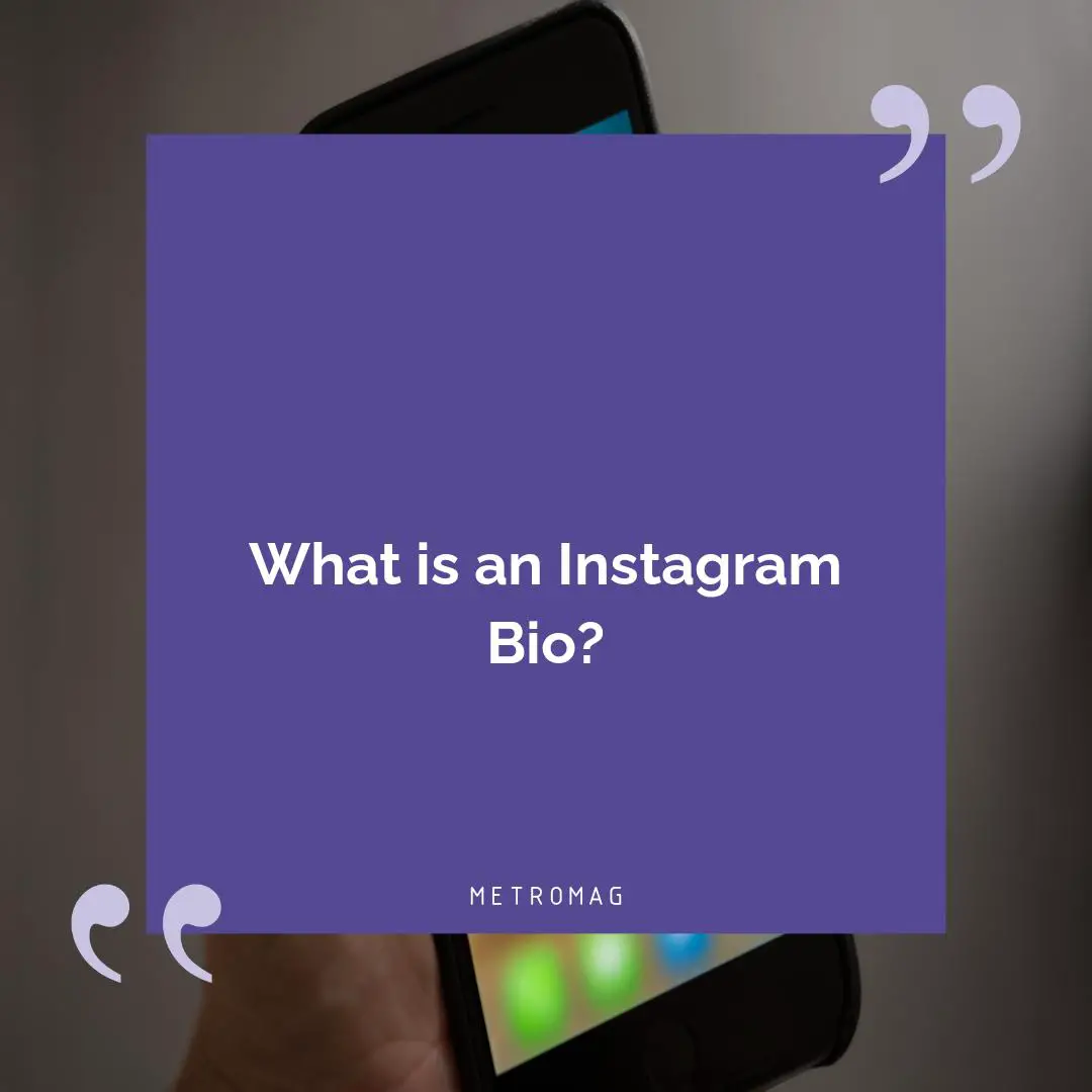 What is an Instagram Bio?