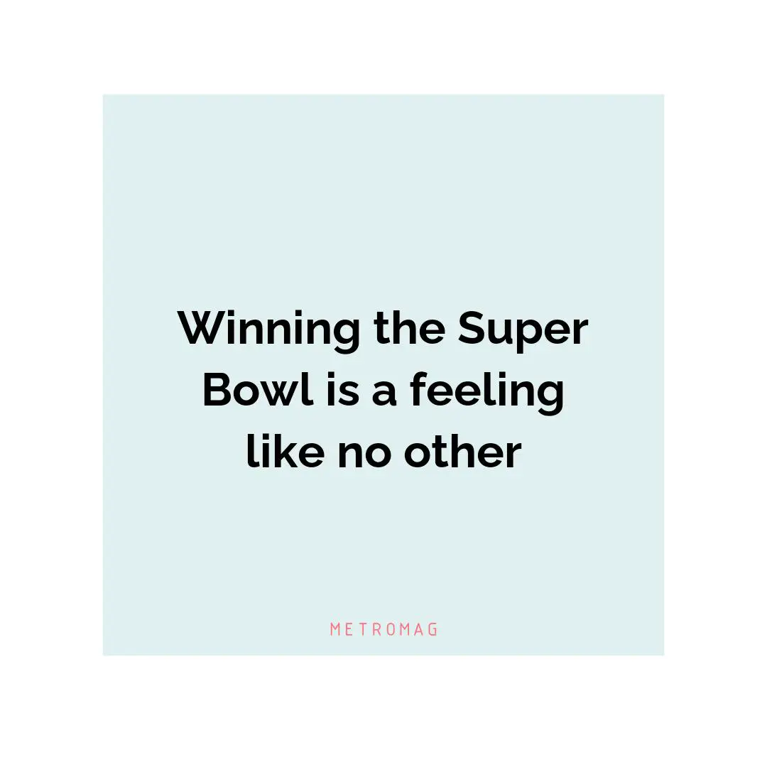 Winning the Super Bowl is a feeling like no other