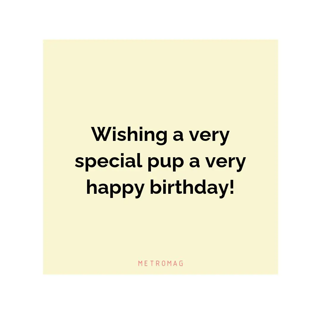 Wishing a very special pup a very happy birthday!