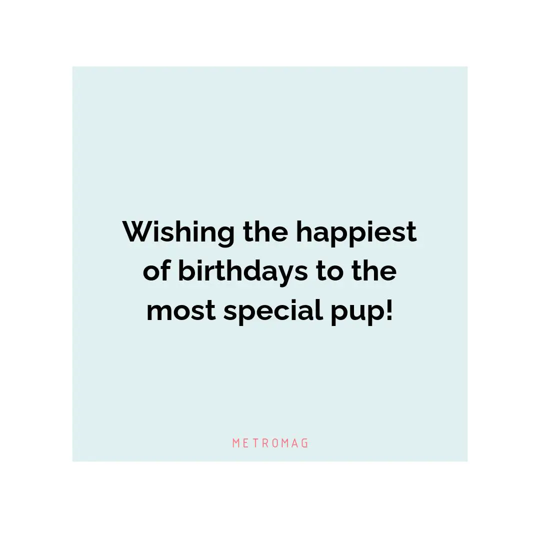 Wishing the happiest of birthdays to the most special pup!
