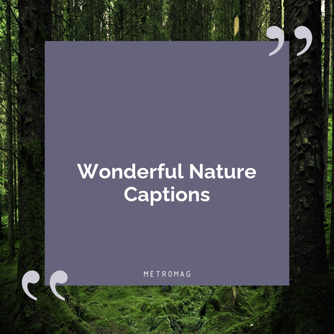 Wonderful Nature Captions