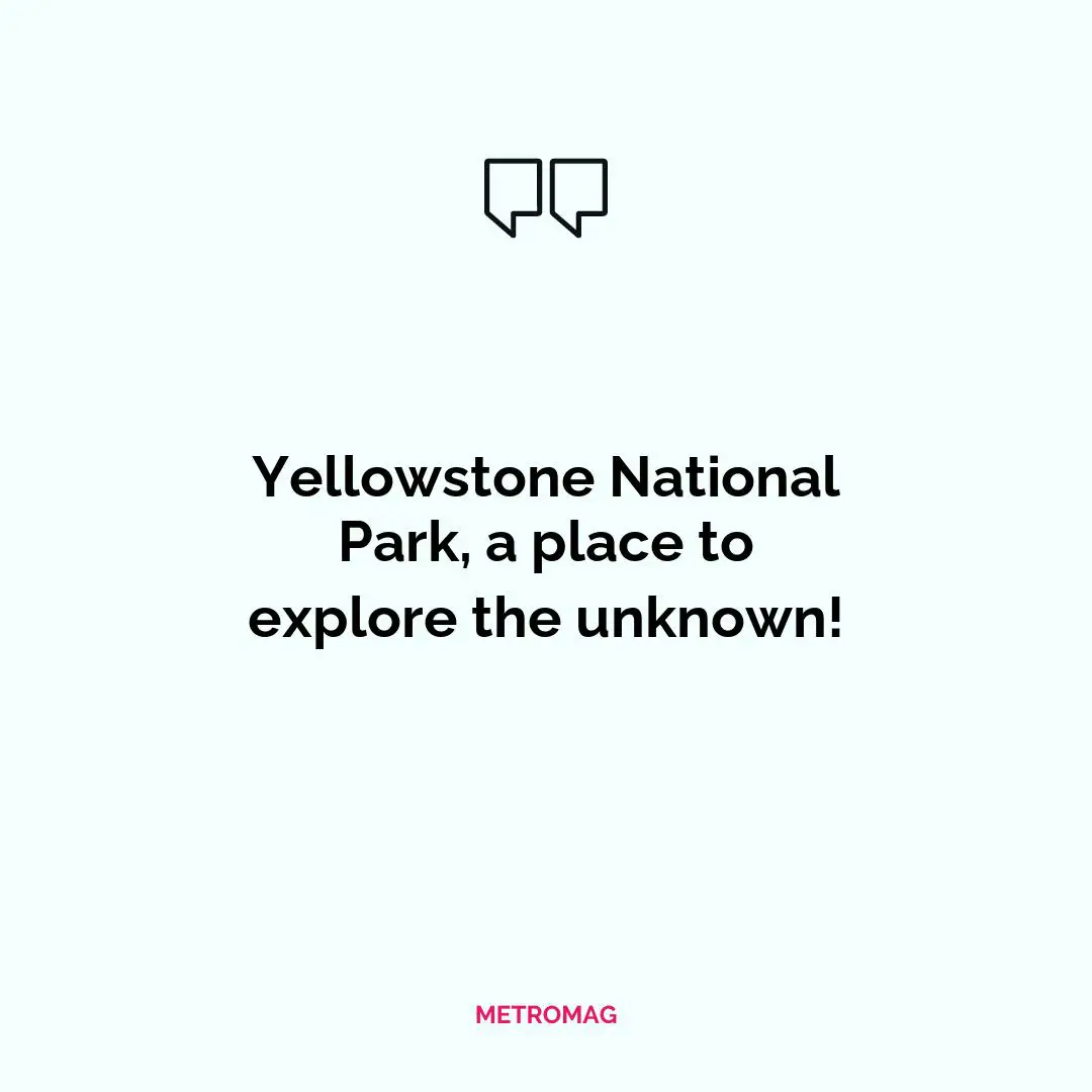 Yellowstone National Park, a place to explore the unknown!