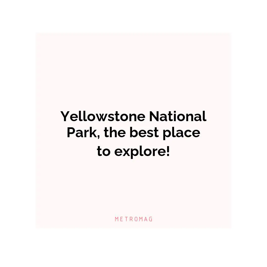 Yellowstone National Park, the best place to explore!