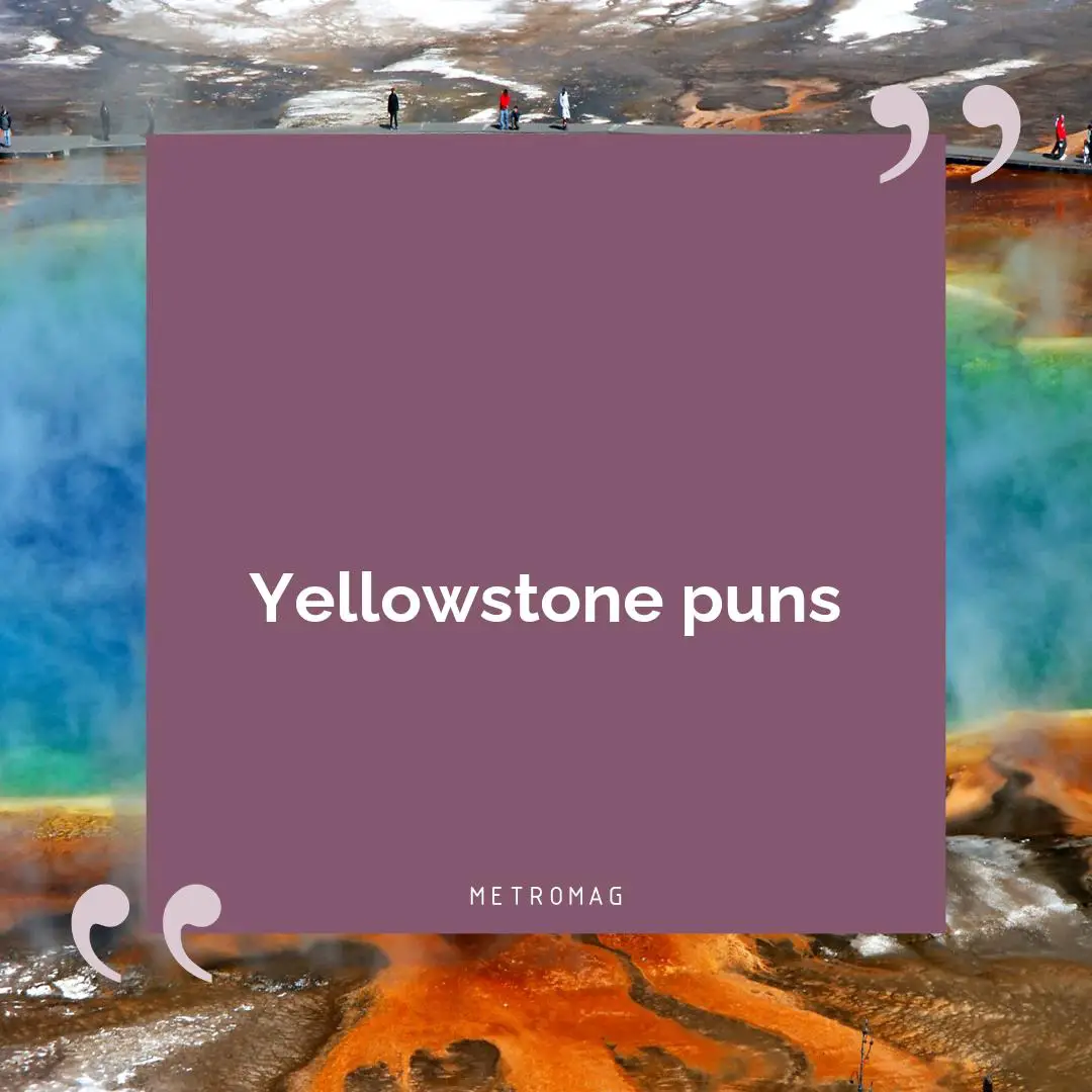 Yellowstone puns