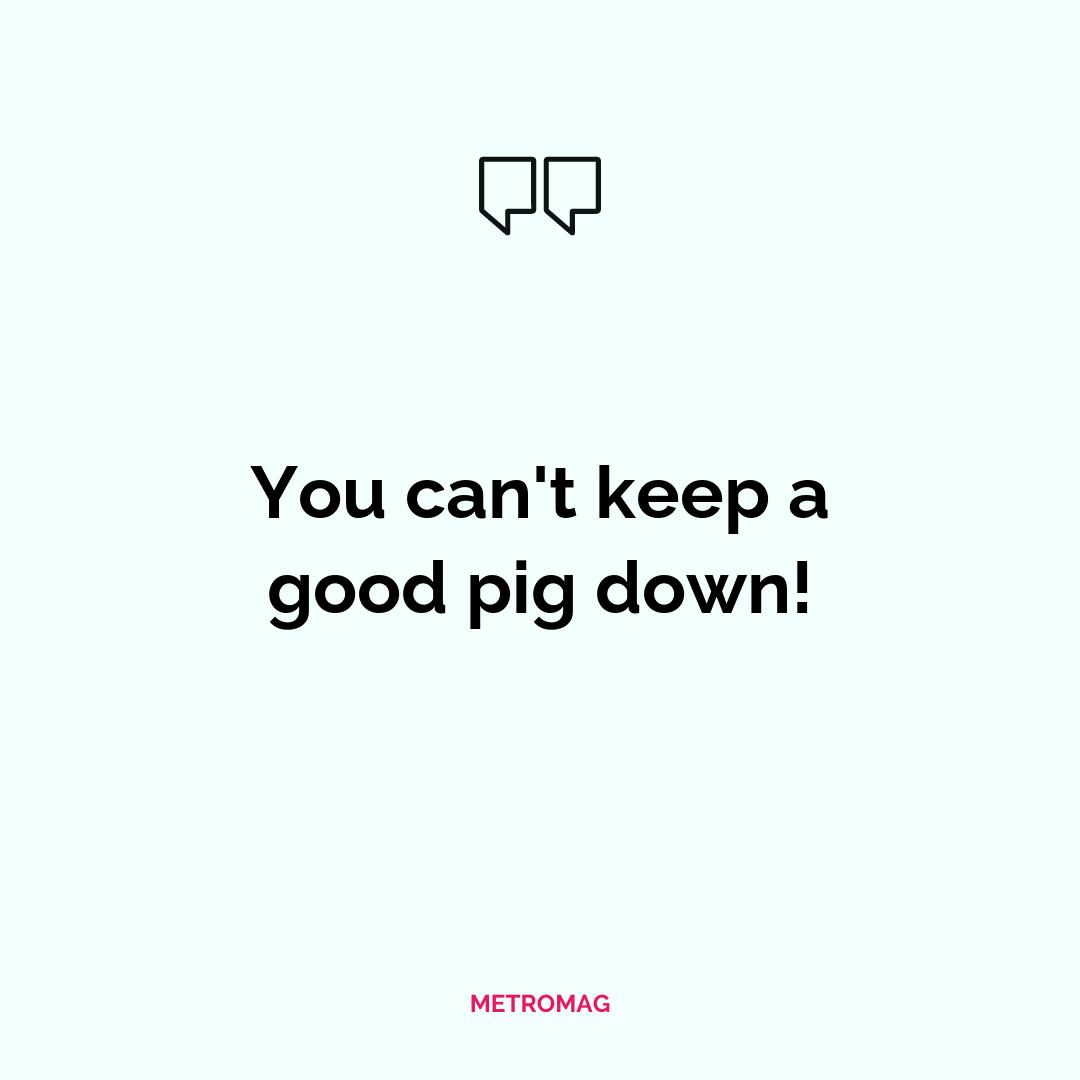 You can't keep a good pig down!