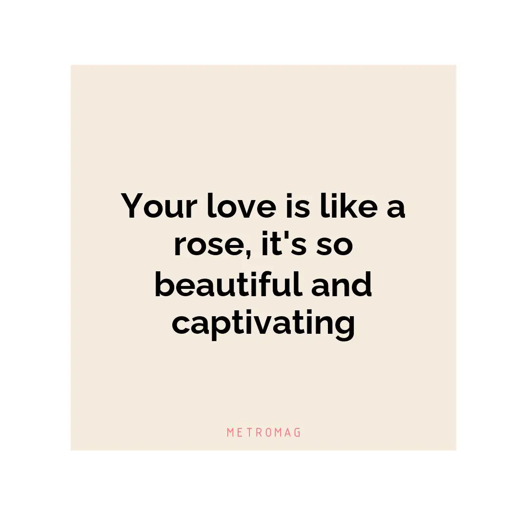Your love is like a rose, it's so beautiful and captivating