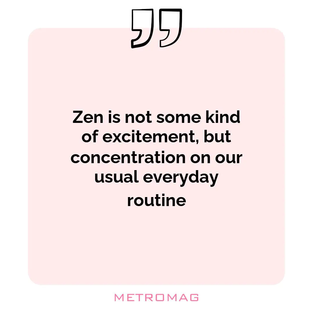 Zen is not some kind of excitement, but concentration on our usual everyday routine