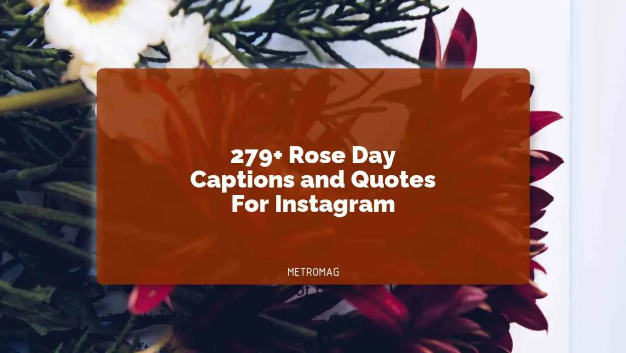 279+ Rose Day Captions and Quotes For Instagram