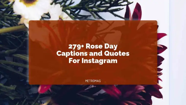279+ Rose Day Captions and Quotes For Instagram