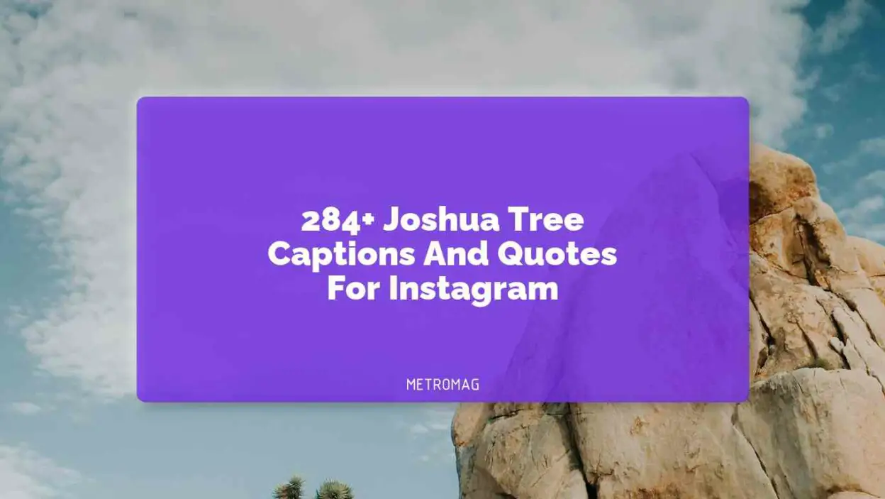 284+ Joshua Tree Captions And Quotes For Instagram