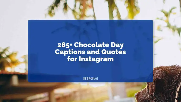 285+ Chocolate Day Captions and Quotes for Instagram