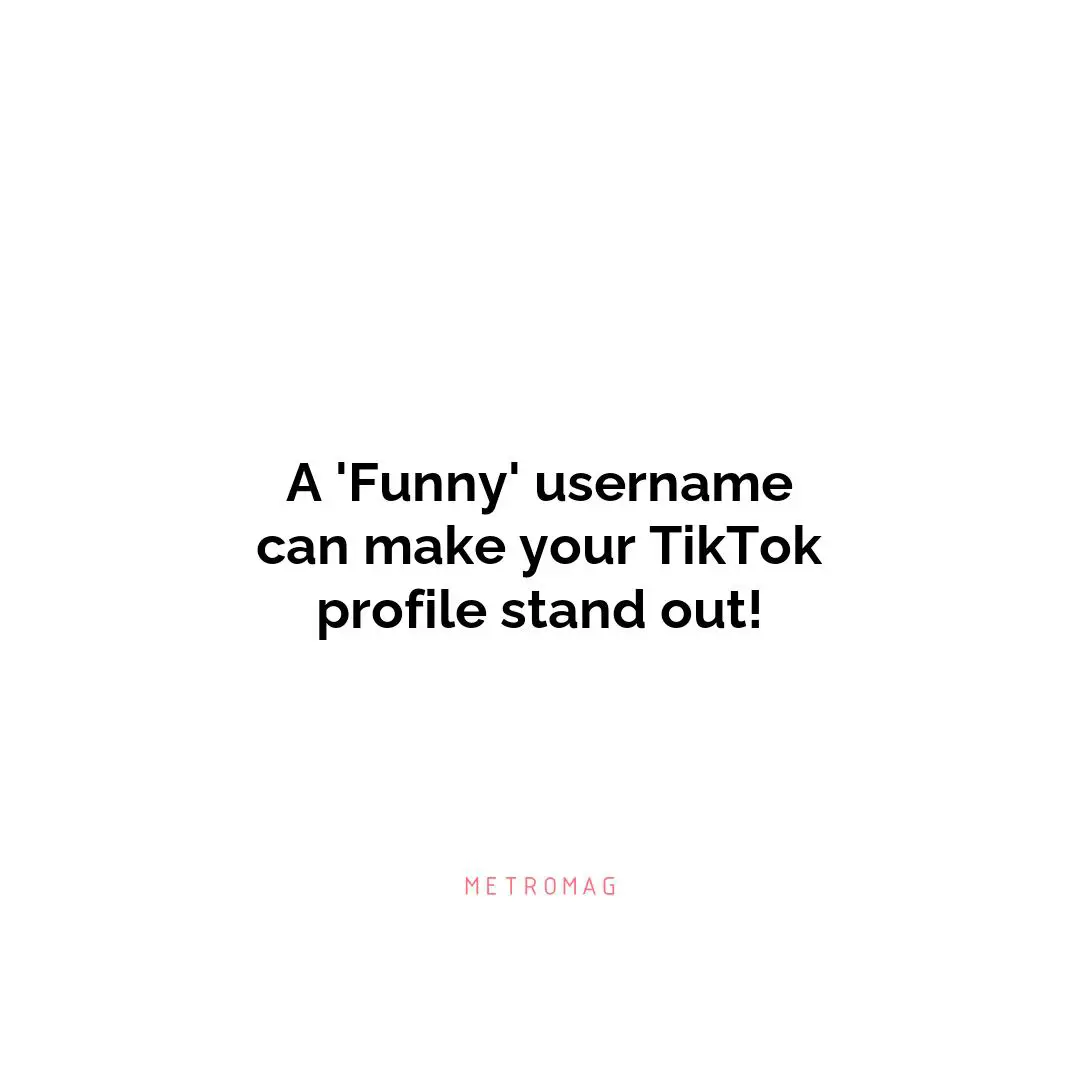 A 'Funny' username can make your TikTok profile stand out!